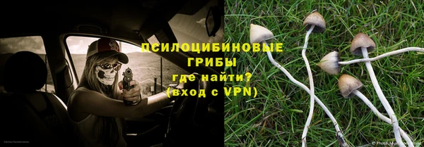 шишки Арсеньев