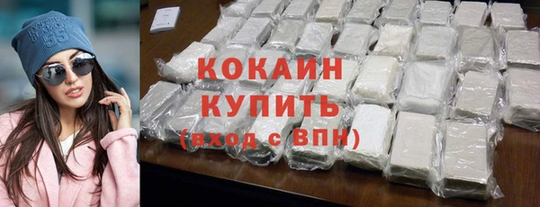 шишки Арсеньев