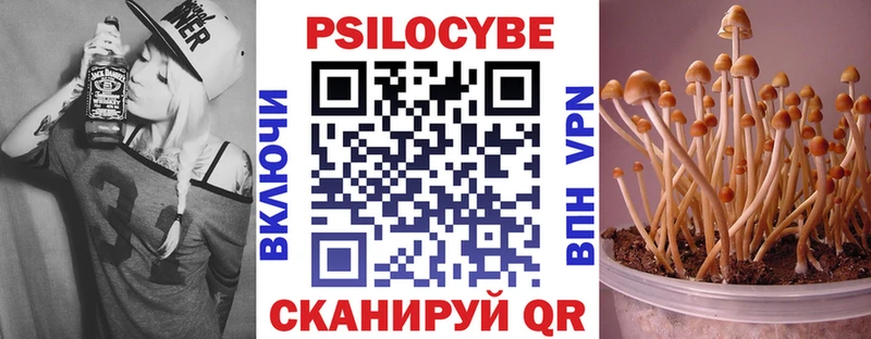 Псилоцибиновые грибы ЛСД  как найти   Кемерово 