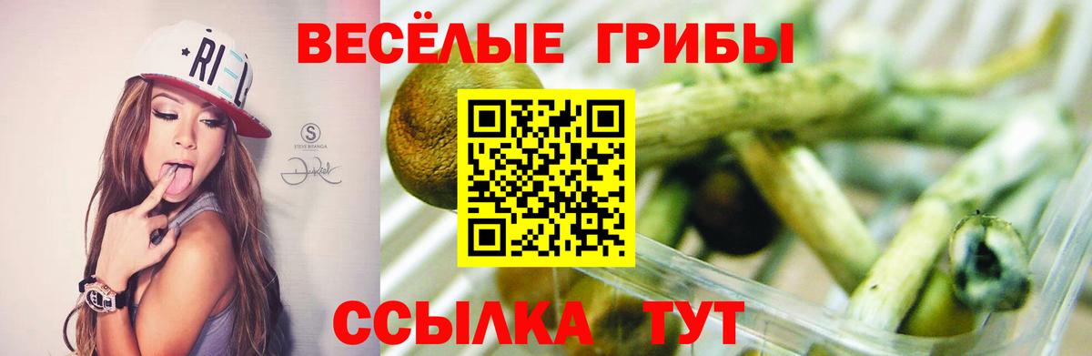 Меф   Марихуана  Вход с VPN  А ПВП СК кристаллы  Кемерово  Кокаин  ГАШИШ 